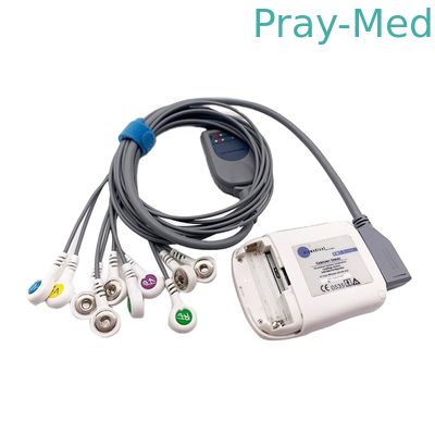 Borsam Holter EcgはBs6930 BS6930-3のために互換性がある10鉛灰色2mをケーブルで通信する